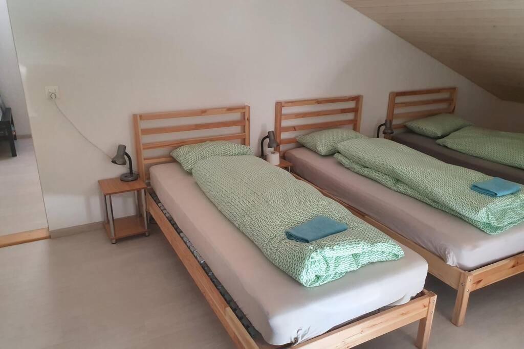 Classy Apartment Interlaken Esterno foto